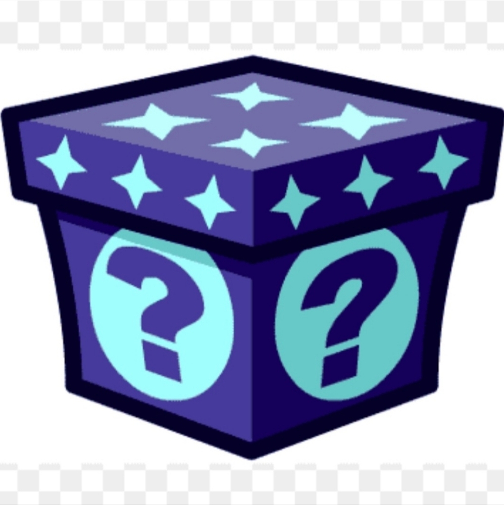 $100 Playboy Mystery Box